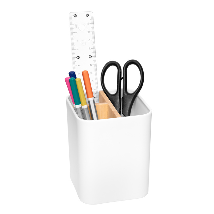 Organizador  LAYOUT 