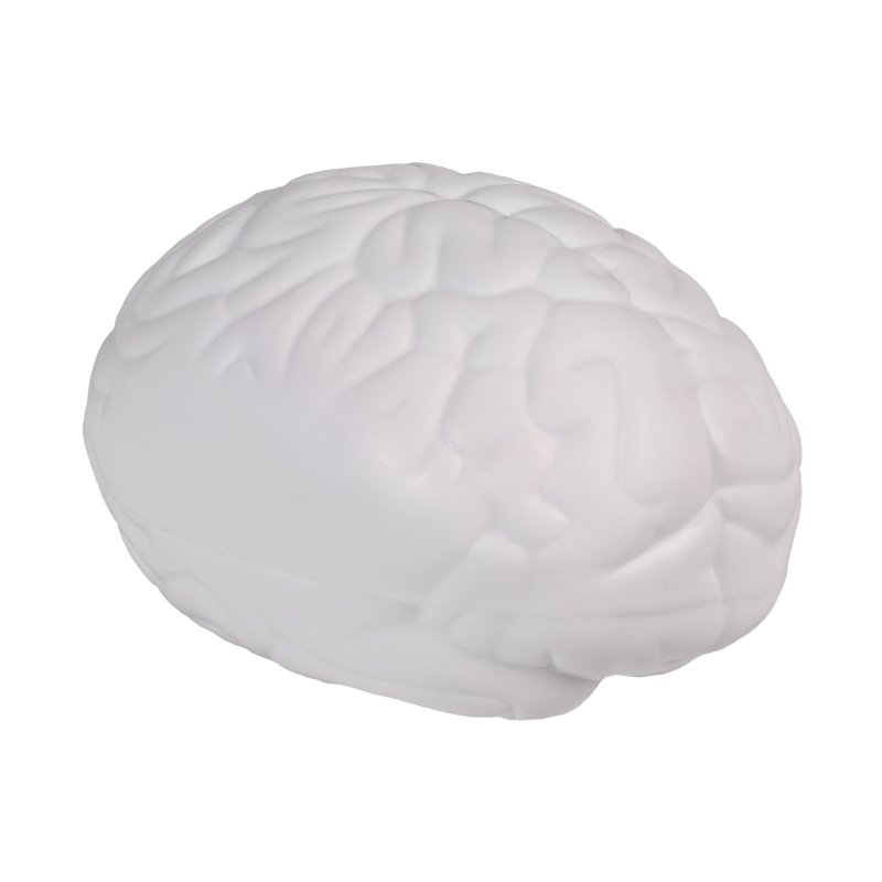 CEREBRO