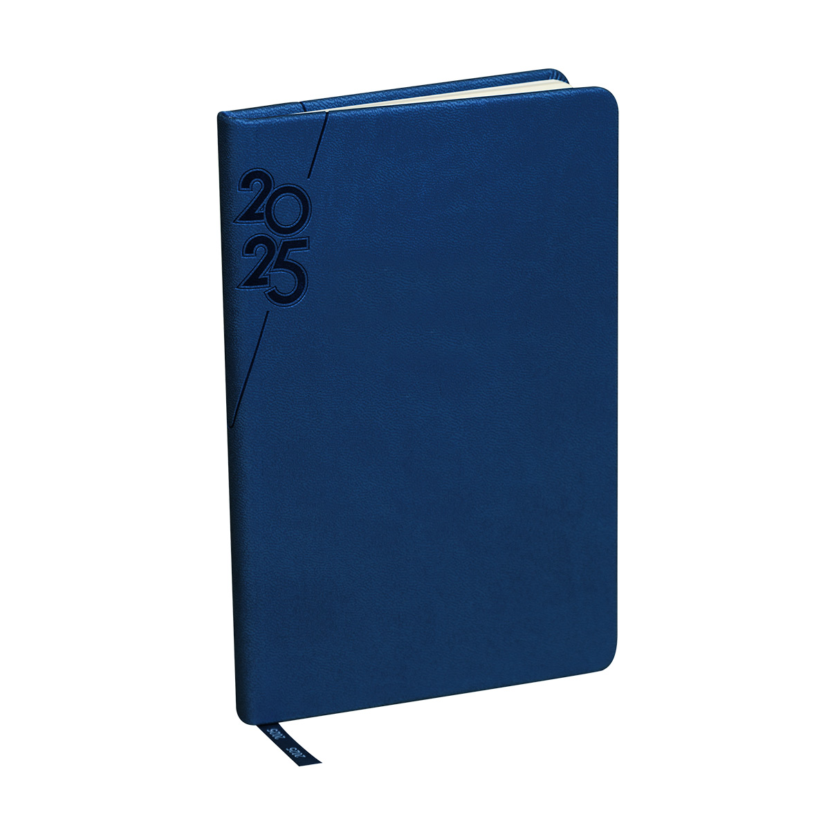 AGENDA MINI TERRA 2025 AZUL REY